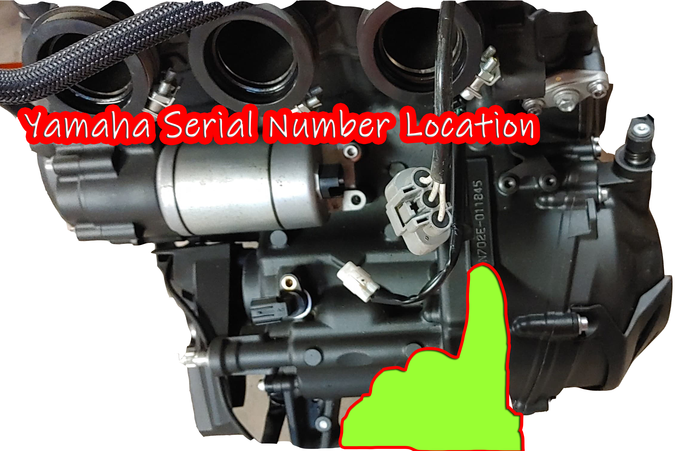 Yamaha Serial Number Identification Image
